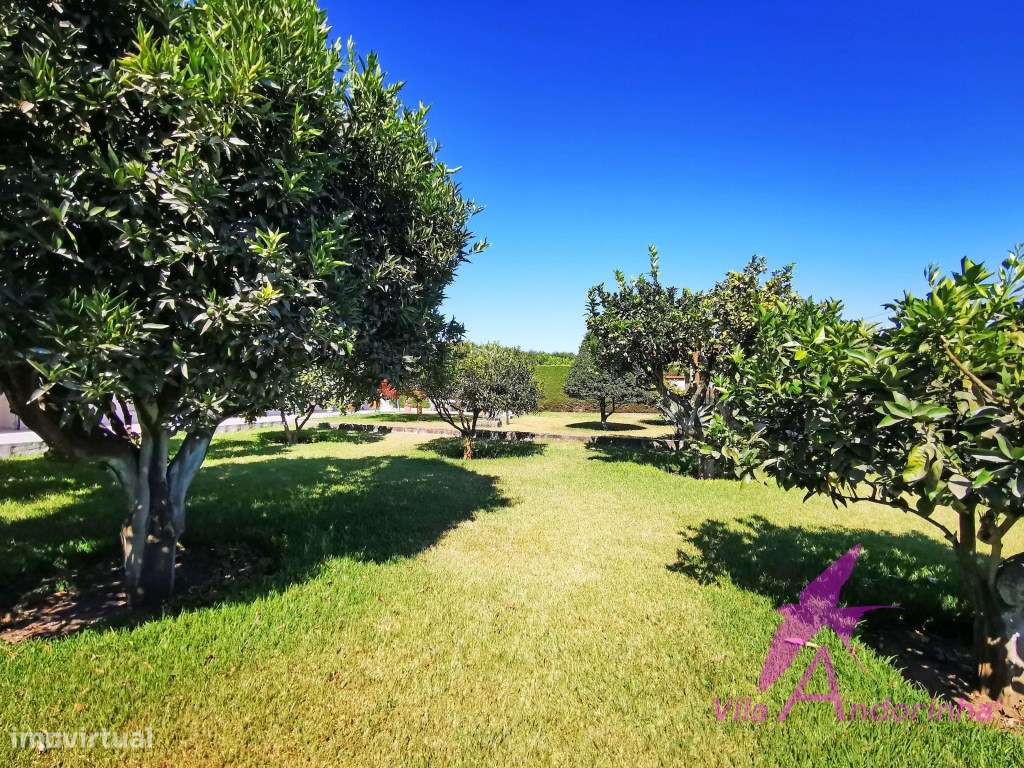 Moradia T4 independente com amplo jardim, garagem e cave - Santa Ma...-33