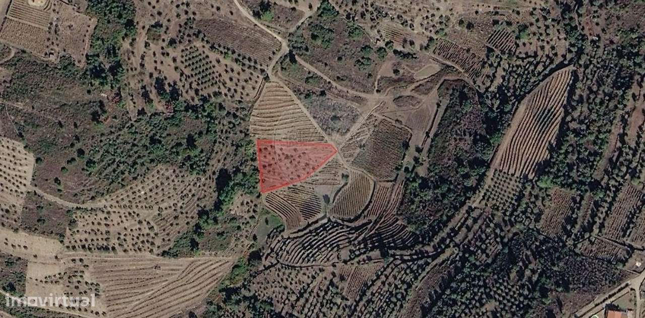 Terreno  para venda-2