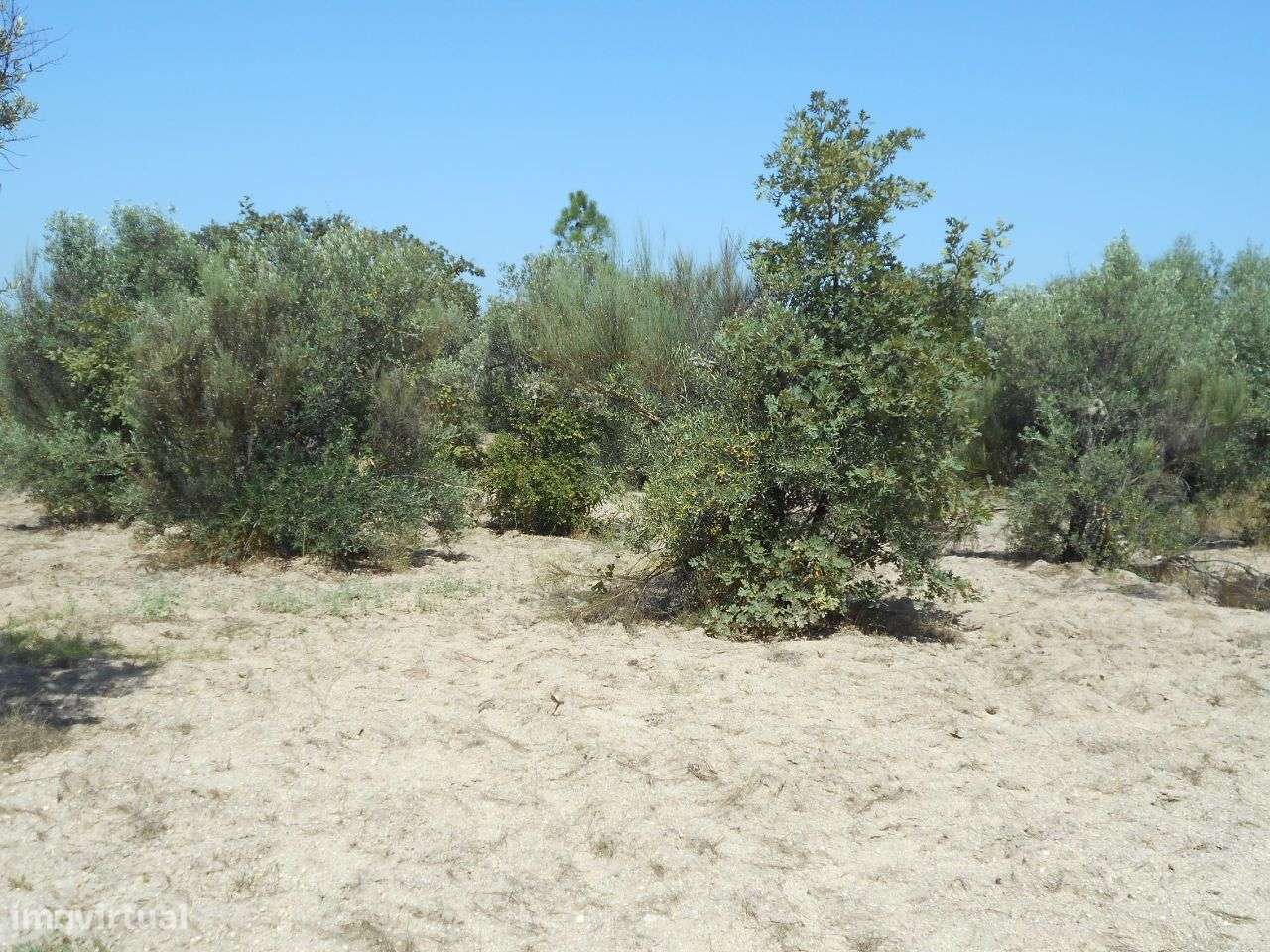 Quinta - Grande imagem: 4/8