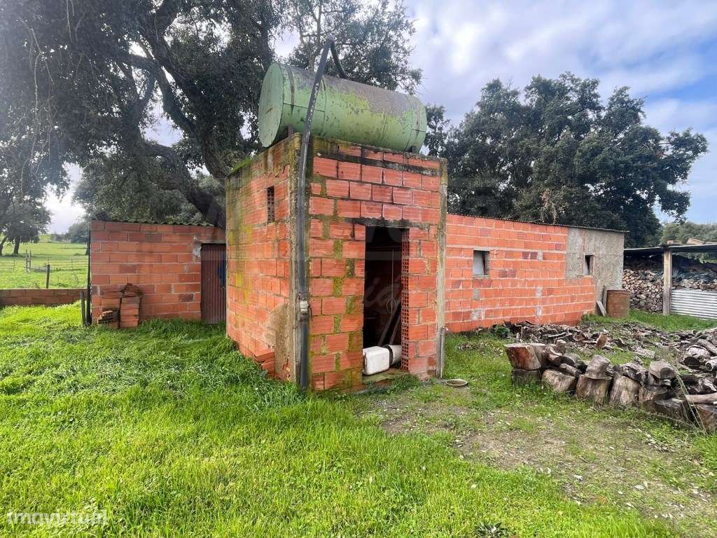 Propriedade Rústica com 11 Hectares junto a Canhestros-3