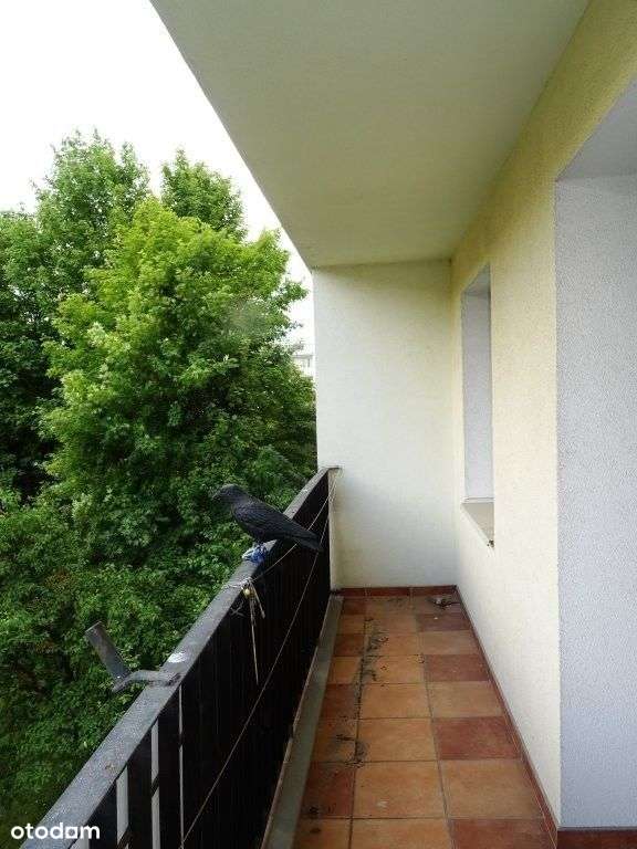 Mieszkanie na sprzedaż Rataje-2