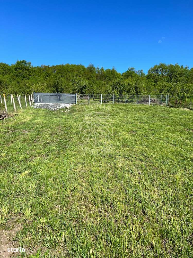 2 Parcele intravilane de 900 mp-utilitati-ideal casa-Viile cu Pomi - Imagine principală: 3/6