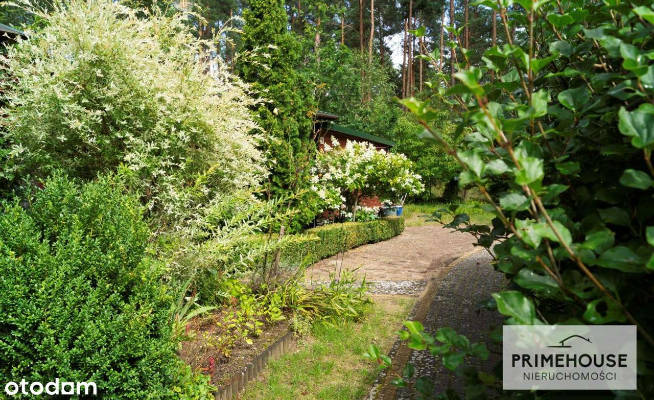 Unikatowy dom z ogrodem przy lesie ogród zimowy!-16