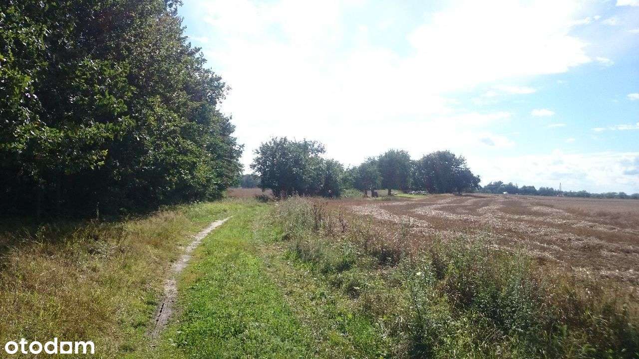 Ładne działki, las, jezioro-Nienawiszcz-PROMOCJA!!-11