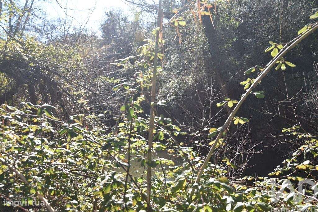 Terreno em Freixianda, Ribeira do Fárrio e Formigais de 5100,00 m2 - Grande imagem: 4/29