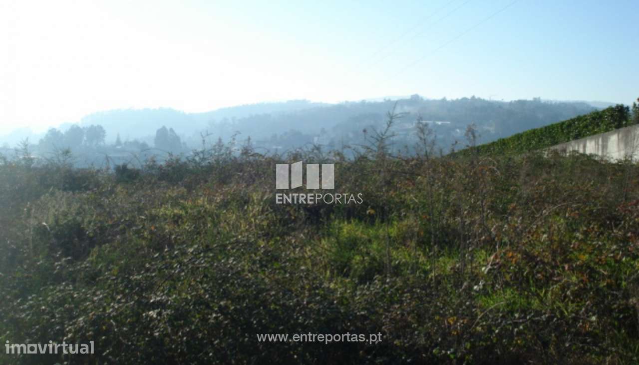 Venda Terreno, Sobretâmega, Marco de Canaveses - Grande imagem: 4/8