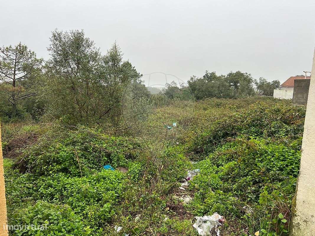 Terreno  para venda-1