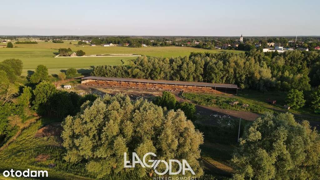 Hala 1152 m2, wiata 1260 m2 plus Dom - Deszczno-14