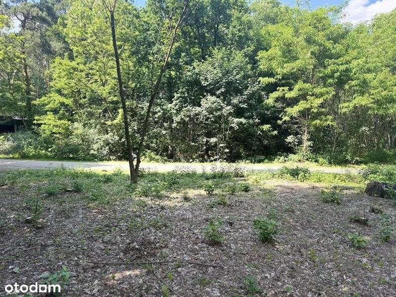 Działka, 956 m², Poznań - Pełny obrazek: 5/6