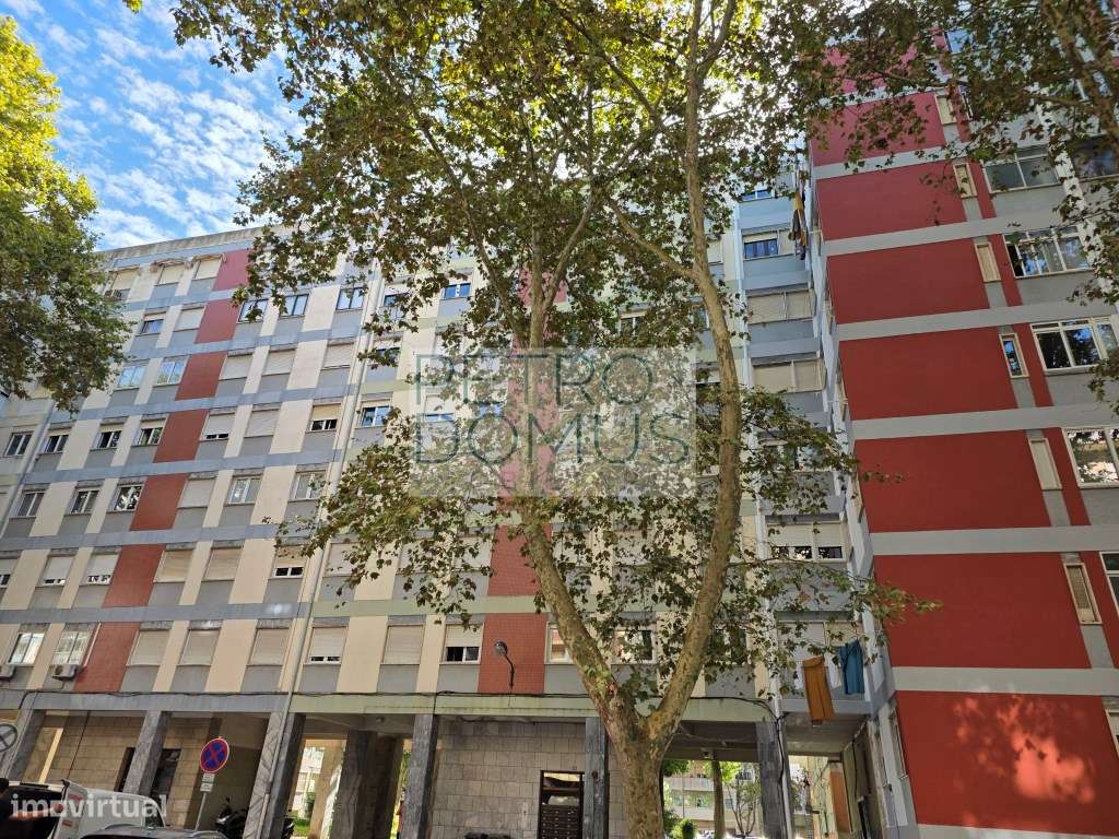 T2 BENFICA - Grande imagem: 4/11