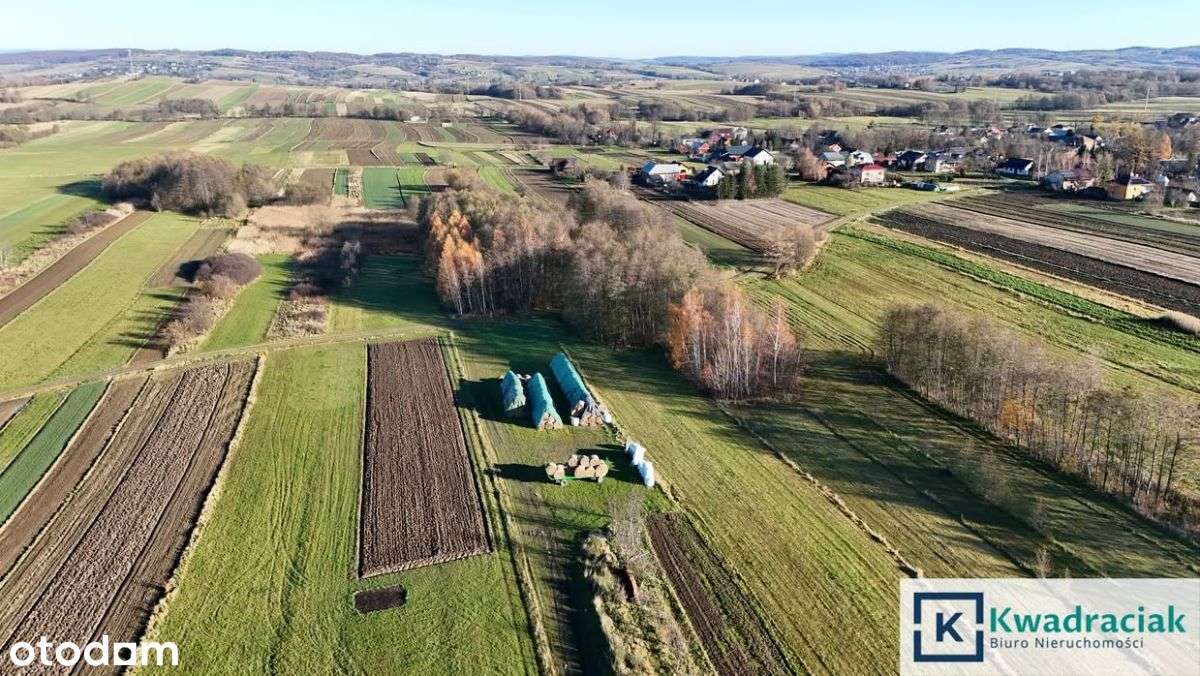 Dużą działka 0,93 ha z mediami - Nowy Żmigrodzie-10