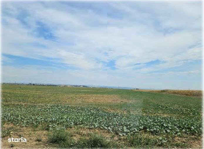 Teren cota parte 4/16 Horia, ID: R1967996 - Imagine principală: 4/5