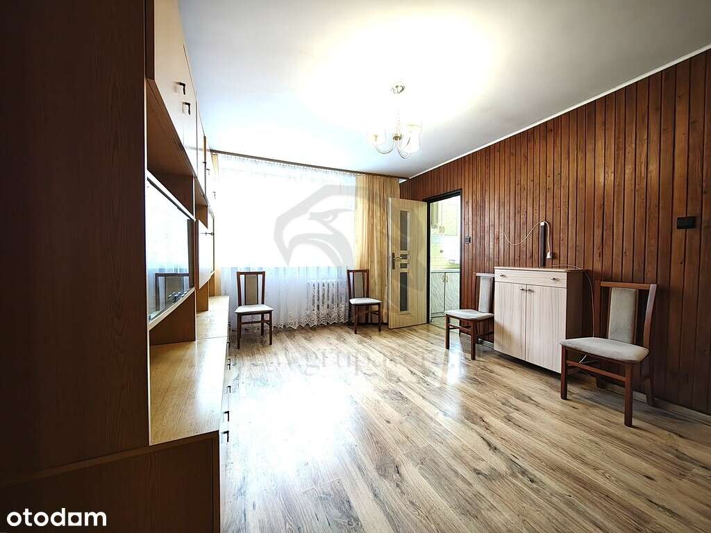 Uwaga! Tu skaczą Gumisie nie lokatorzy-9