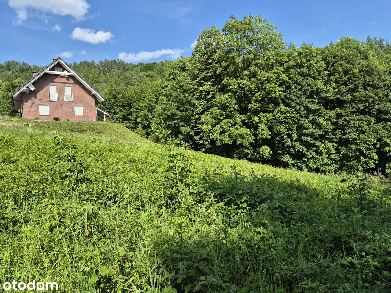 Działka budowlana, słońce, stok i aktywne pozwolenie na budowę - Pełny obrazek: 4/14