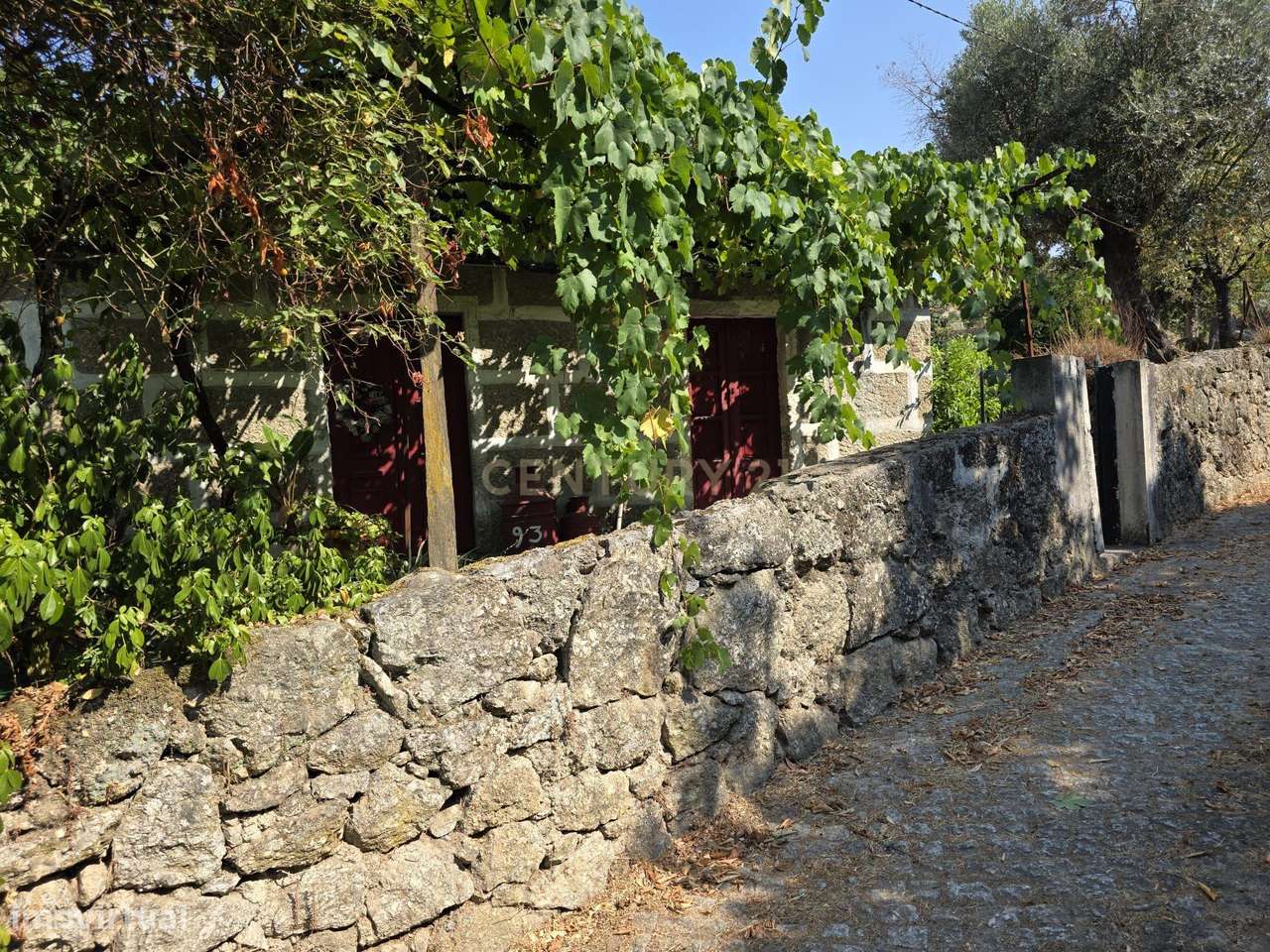 Quintinha - São Tomé de Covelas, Baião-5