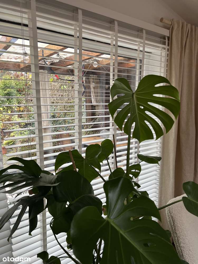 Dom, 132 m², Leśna - Pełny obrazek: 4/20