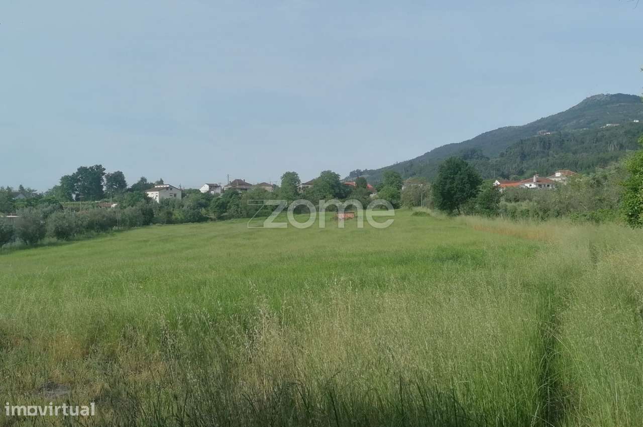 Terreno Rústico e Casas com vista para a Serra do Caramulo - Grande imagem: 1/18