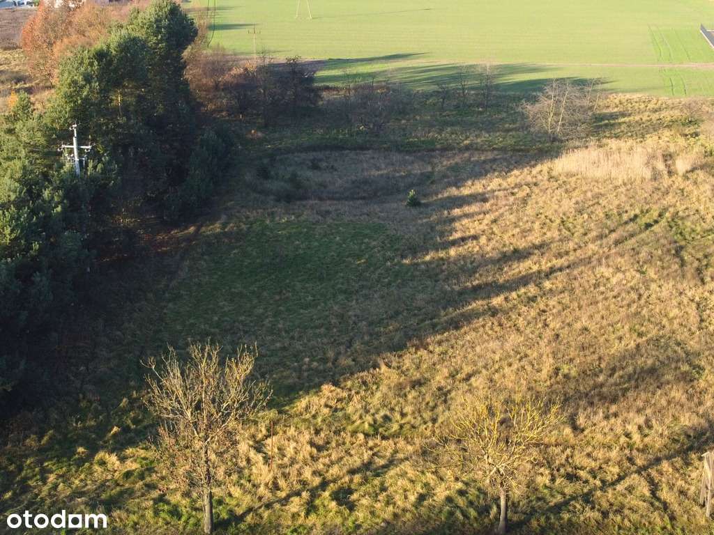 Działka budowlana MPZP | Sierosław | 1584 m2 - Pełny obrazek: 4/7