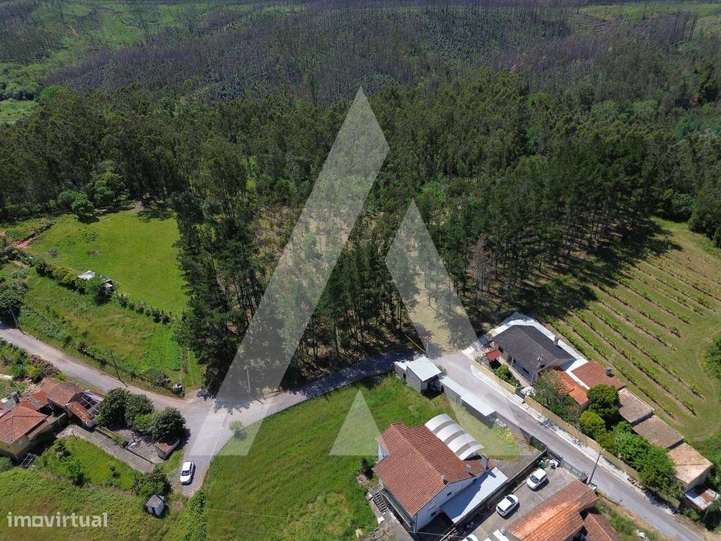 Terreno em Serém de Cima, Macinhata do Vouga - Grande imagem: 4/15