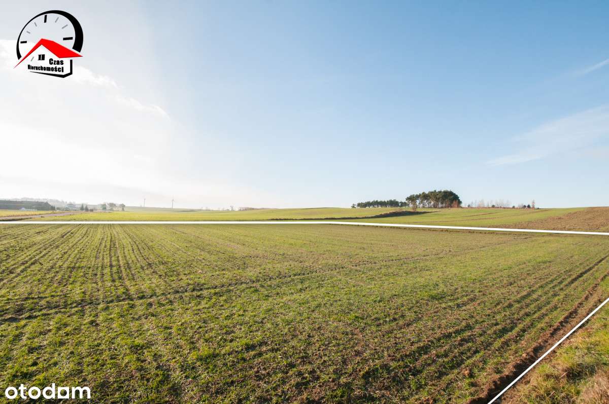 Warunki w trakcie. Duża, płaska. Tanio! - Pełny obrazek: 5/9