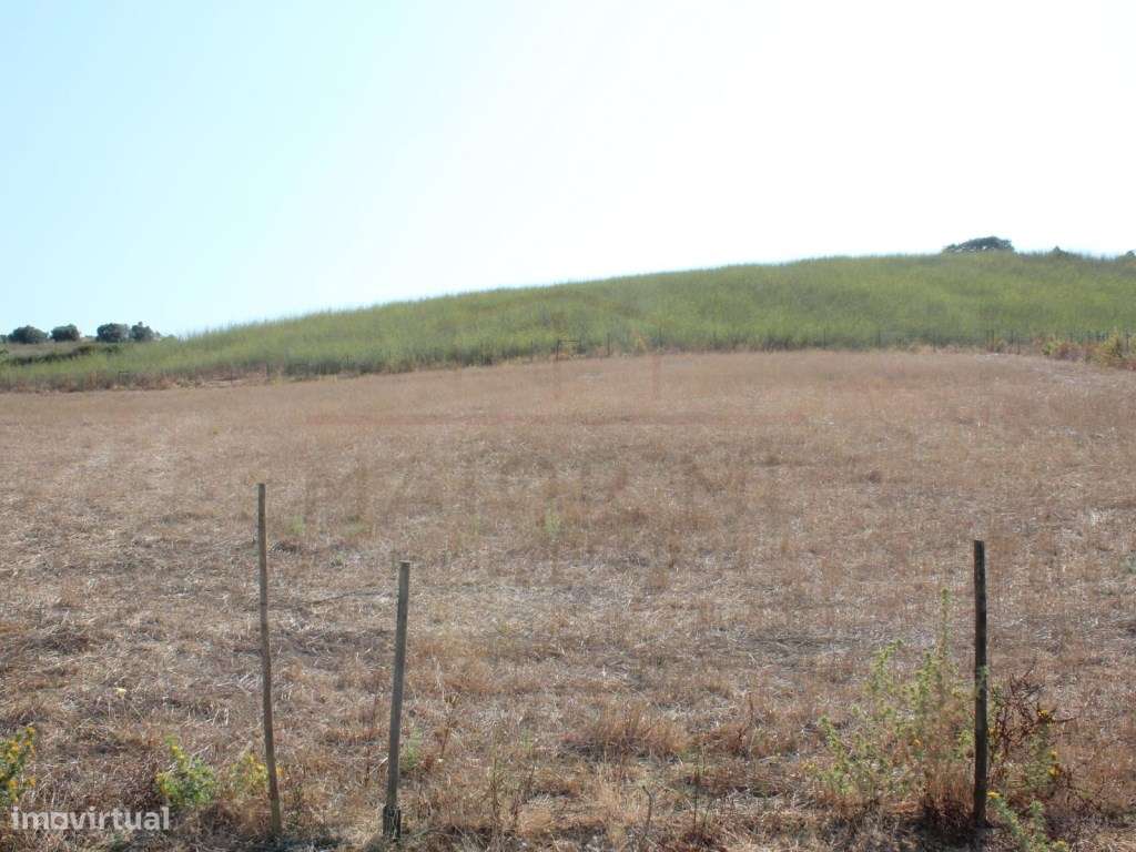 Casa de Campo, terreno, vista panorâmica concelho Rio Maior-29