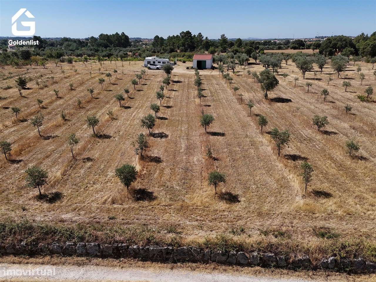 Quinta  Venda em Lardosa,Castelo Branco-20