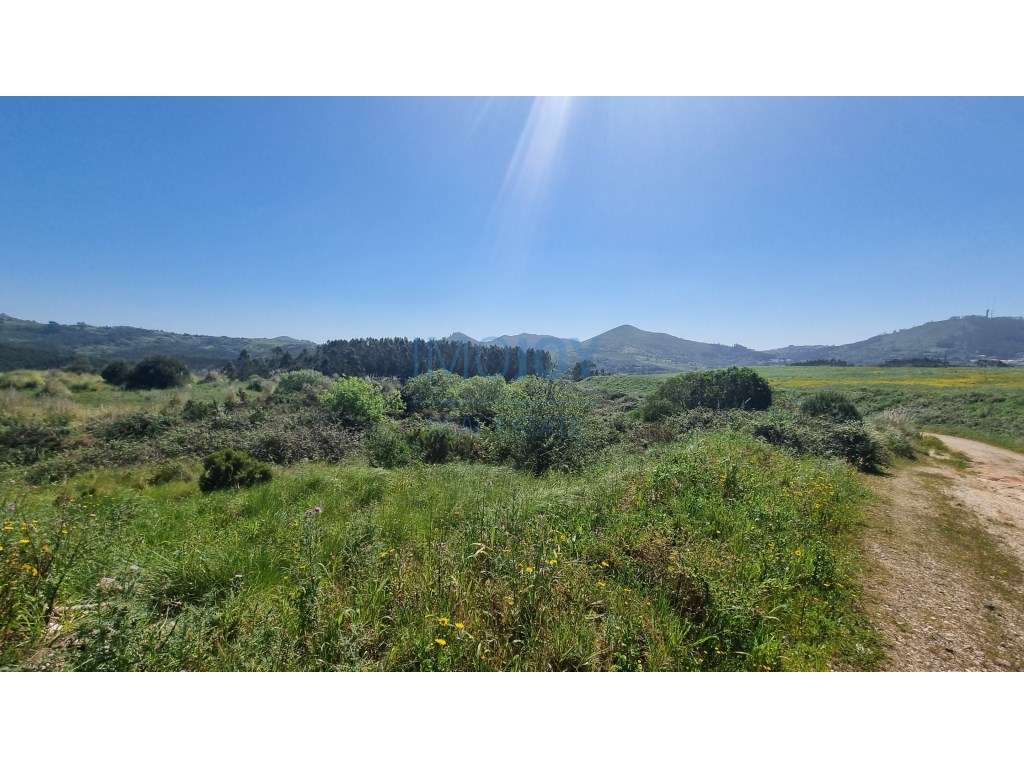 Terreno Industrial com Projeto Aprovado na Malveira - Grande imagem: 5/9