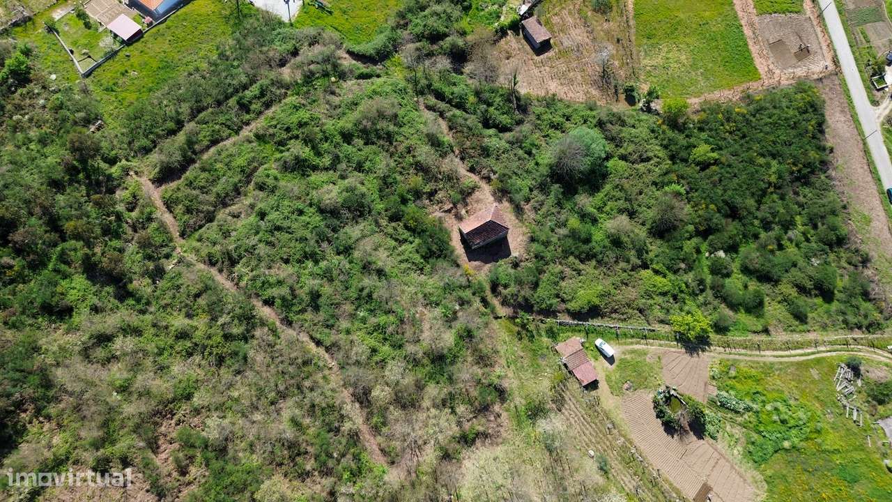 Quinta T2+1 Venda em Gestaçô,Baião - Grande imagem: 5/32