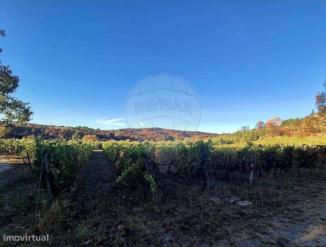 Terreno  para venda - Grande imagem: 3/11