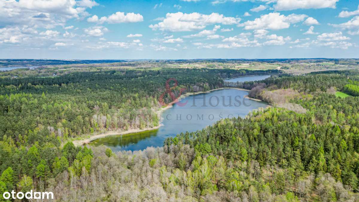 Działki na Kaszubach z widokiem na las - Pełny obrazek: 5/14