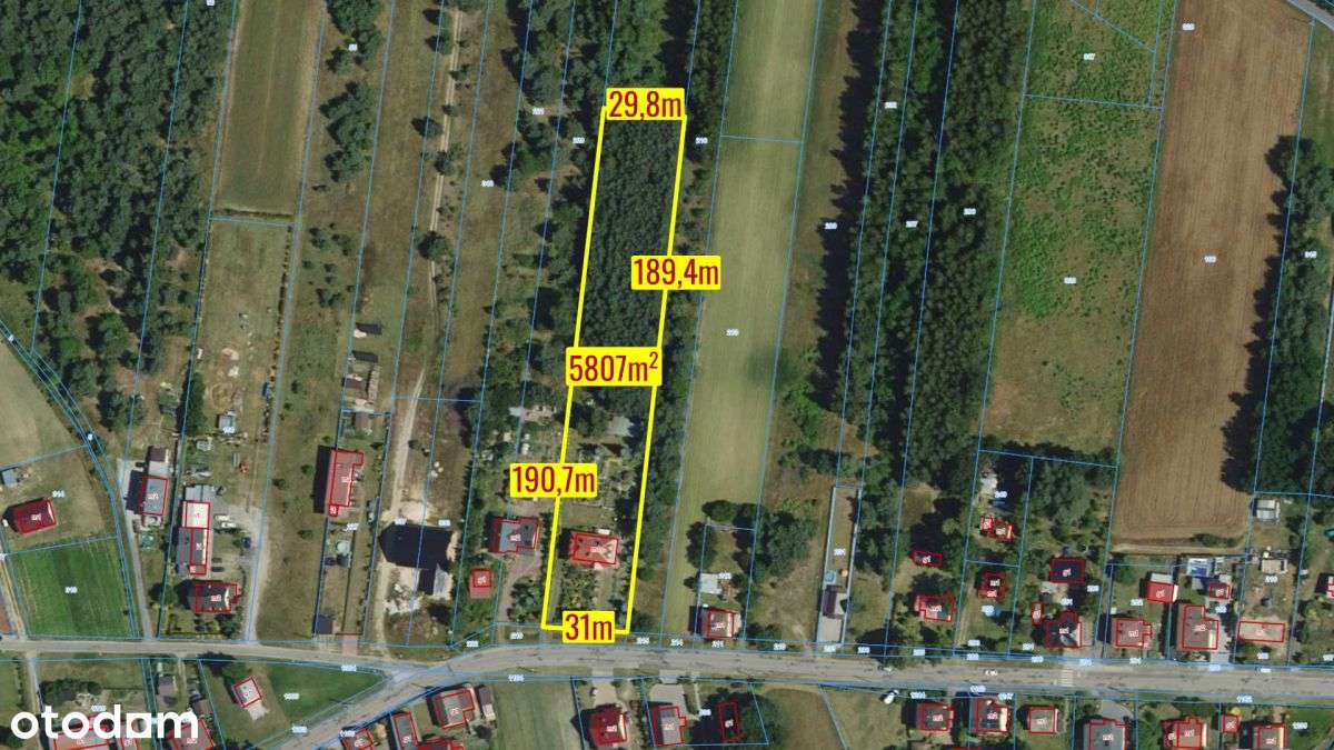 Kośmidry luksusowy dom z lasem - Pełny obrazek: 5/20