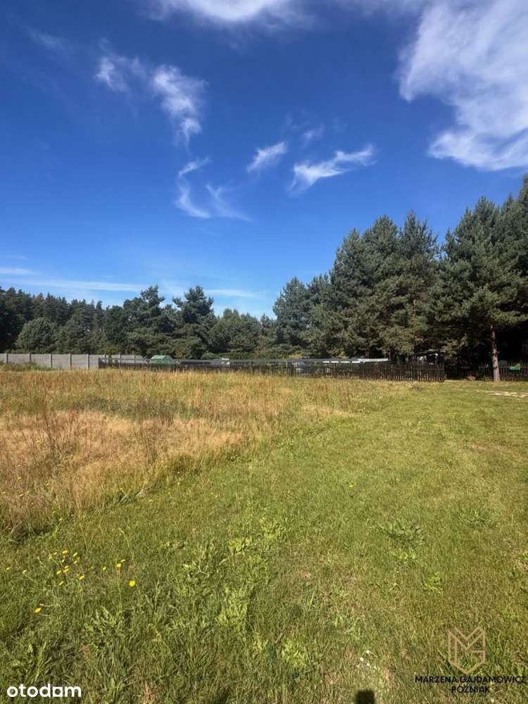 Piękna działka w Buchałowie - Pełny obrazek: 5/8