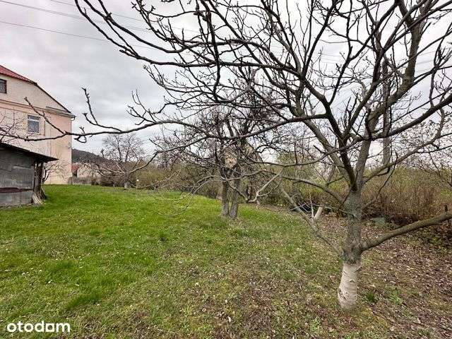 Dom z ogrodem w Strzegomianach - Pełny obrazek: 4/4