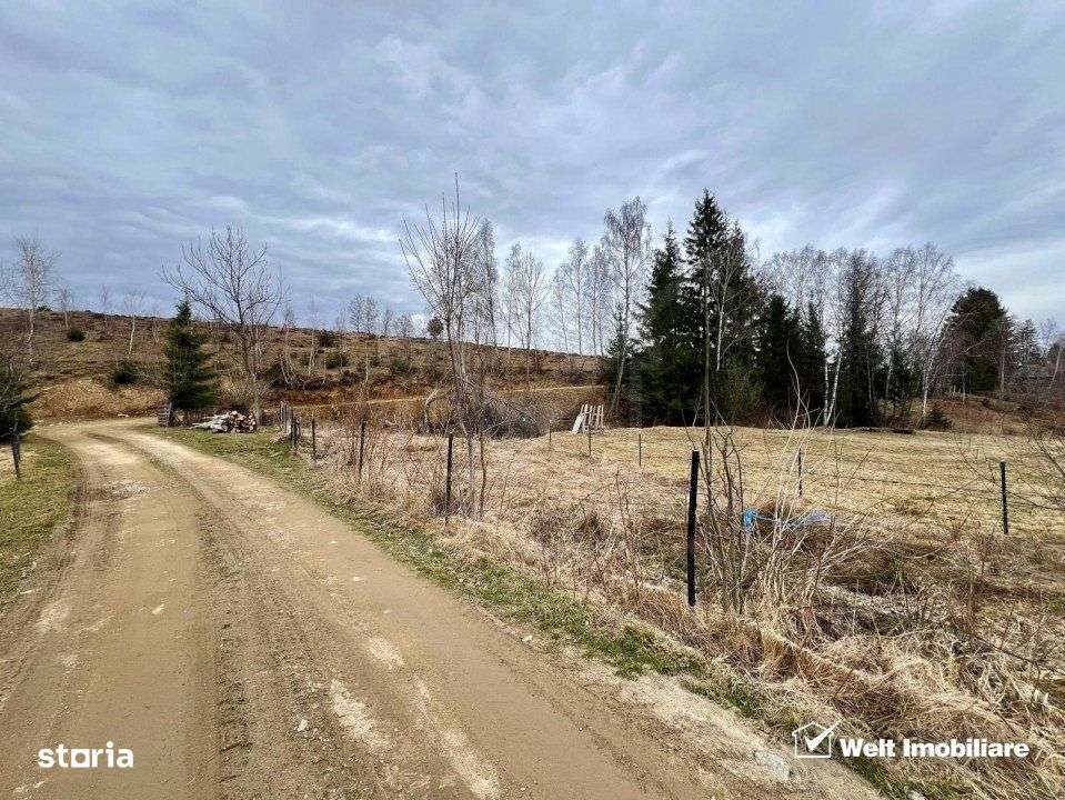 Teren pentru cabana, Risca, Valea Fericirii - Imagine principală: 4/6