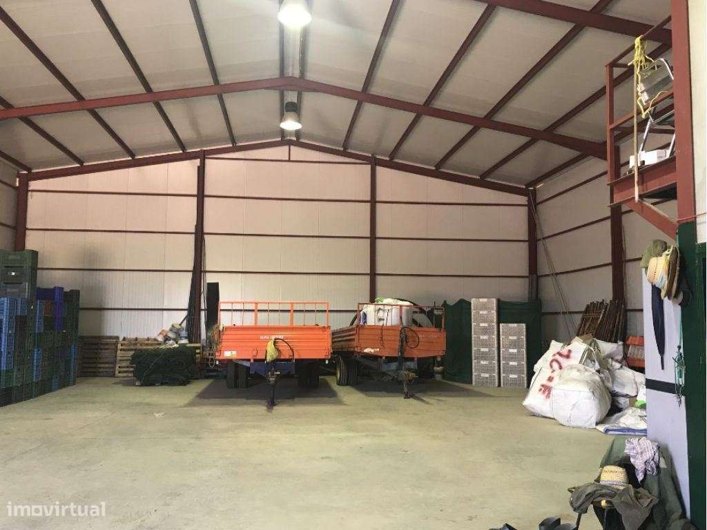 Estremoz Évora herdade 4ha com armazém de 600m2. Bom Investimento-13