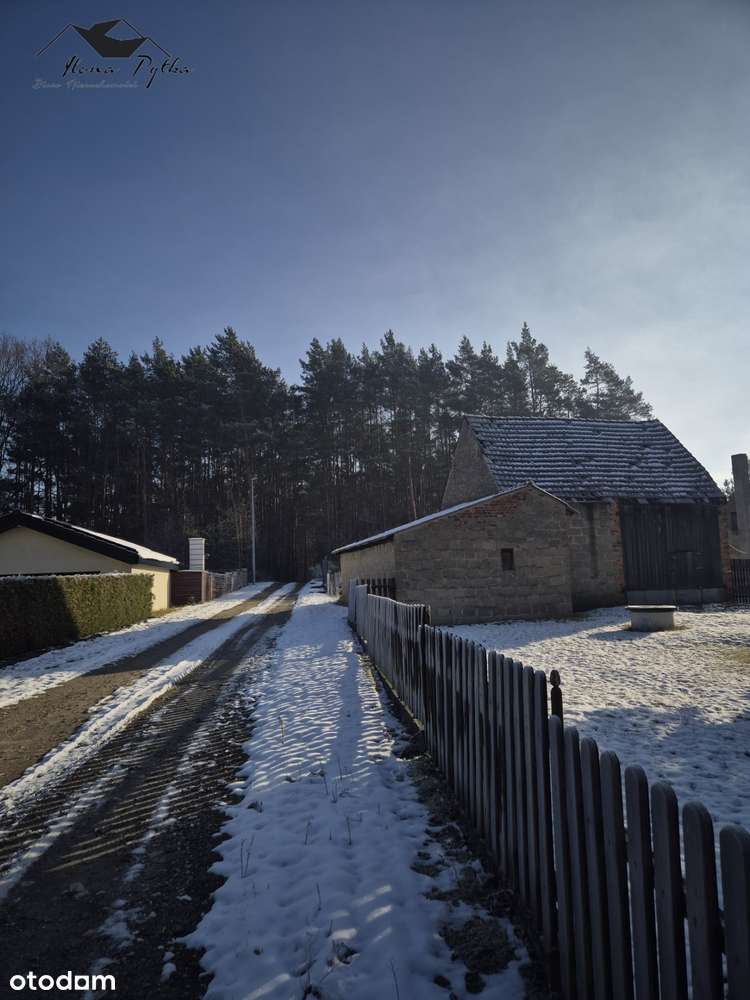 Dom pod lasem z zabudowaniami gospodarczymi 16km od Opola-7