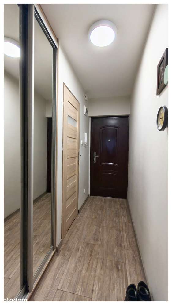 Kawalerka do zamieszkania - Pełny obrazek: 4/5