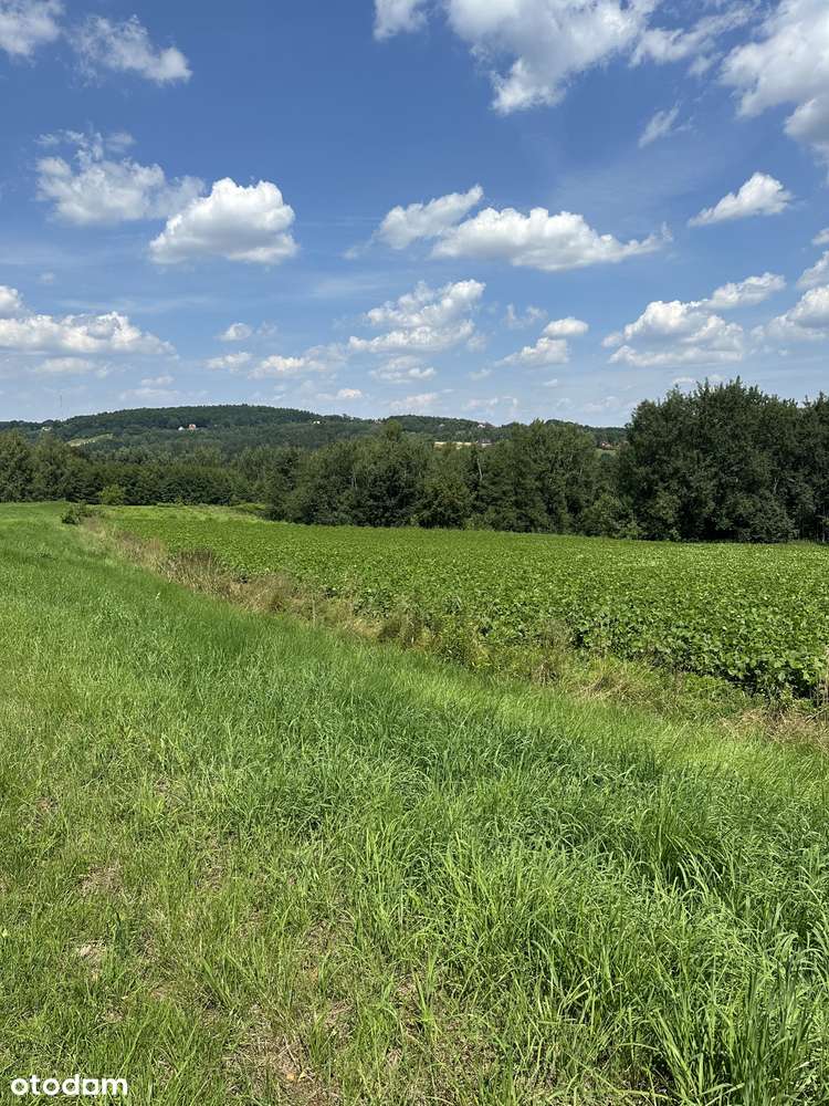 Działka mieszkaniowo usługowa w Dziekanowicach - Pełny obrazek: 4/9