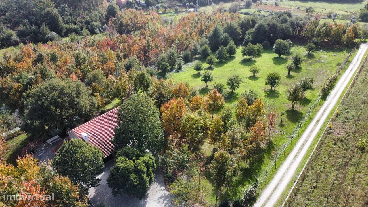 Moradia, 140 m², Molelos-58
