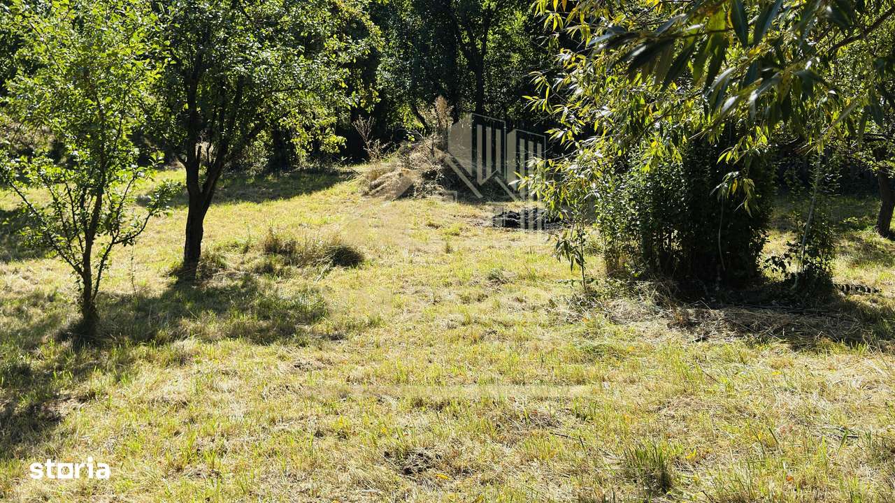 TEREN INTRAVILAN 3234 MP LEREȘTI VOINEȘTI ARGEȘ-14