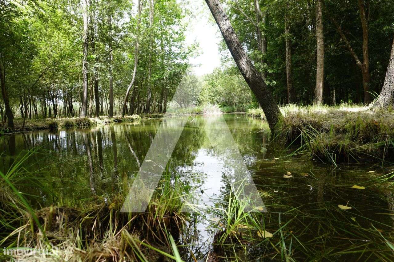 Terreno agrícola situado na zona de Horta em Eixo, Aveiro - Grande imagem: 1/25