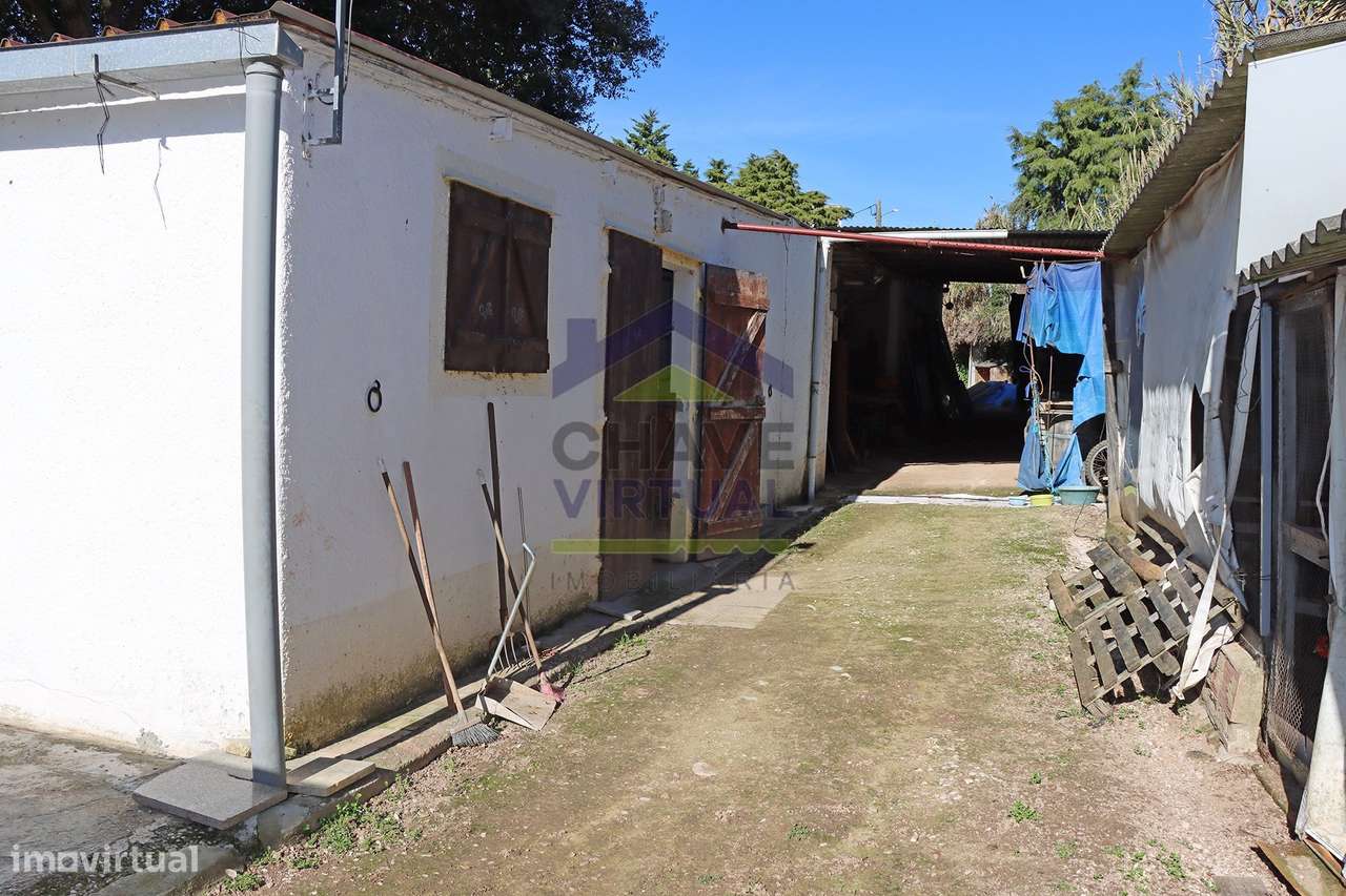 Magnífica Quinta c/ 10.490 m2 Concelho Cadaval-38