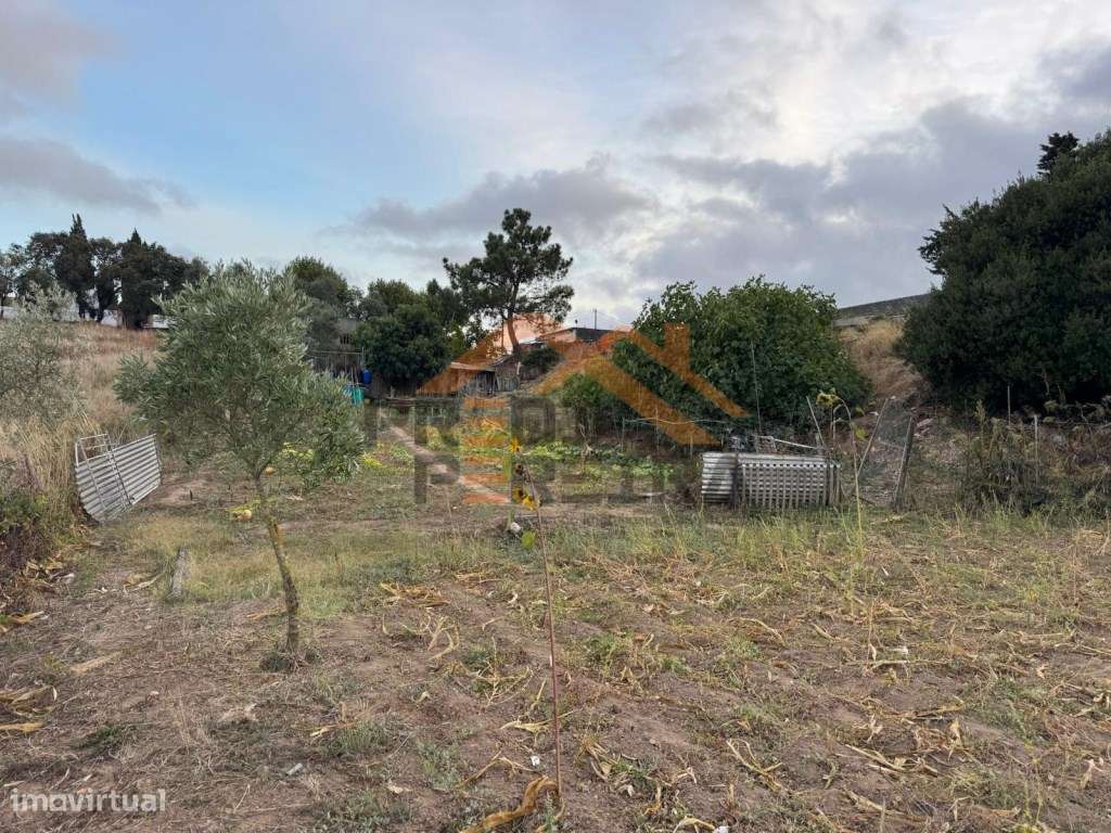 Oportunidade de Investimento: Industrial ou Habitação. - Grande imagem: 4/15