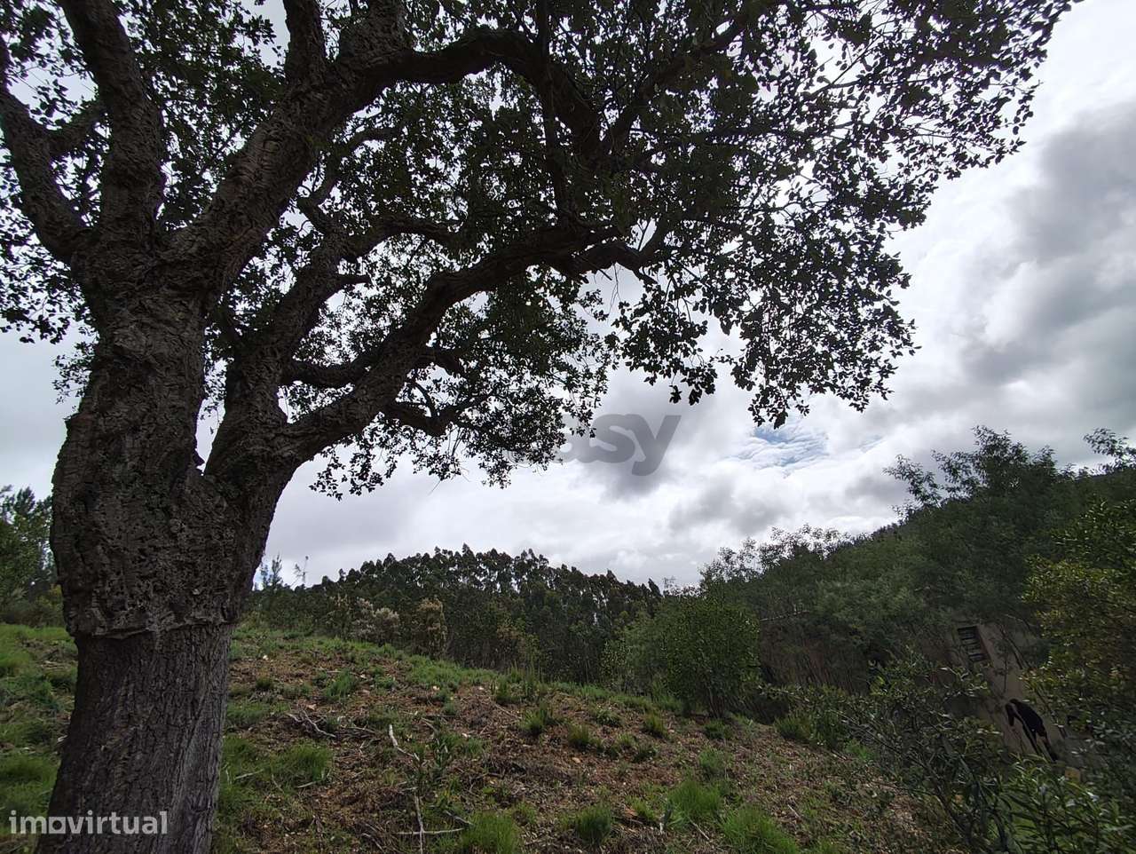 Terreno com construção a 10 min do Autódromo Internacional do Algarve - Grande imagem: 5/11