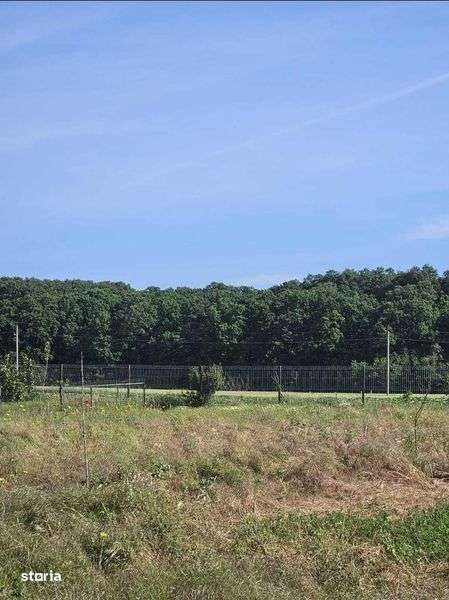 Teren constructii - Imagine principală: 4/8