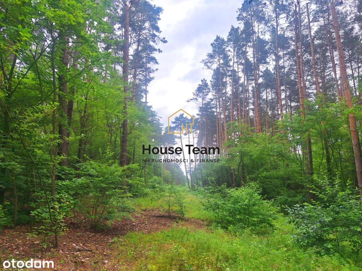 Działka z Mpzp - 1721 m2 - Smukała - Pełny obrazek: 2/14