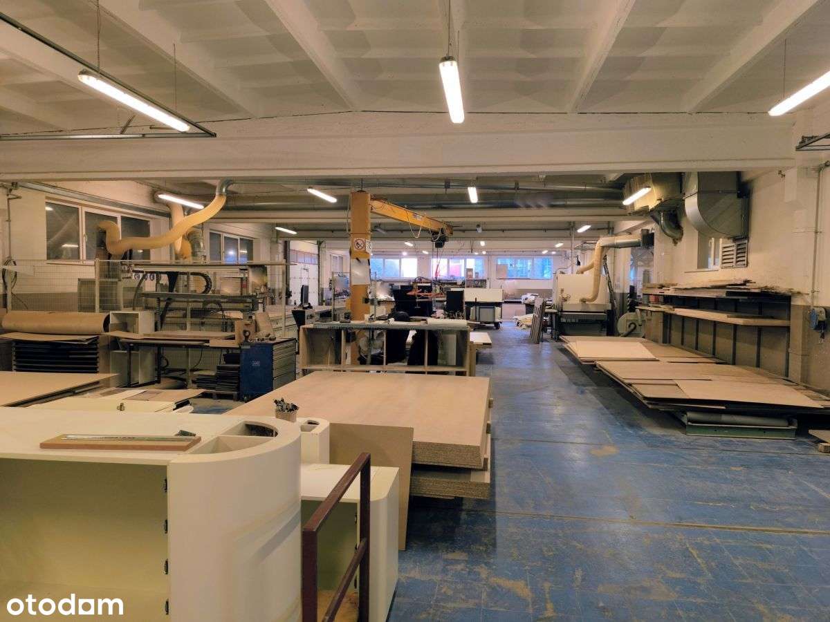 prod. poziom 0,bezpł. miejsca parkingowe - Pełny obrazek: 1/5