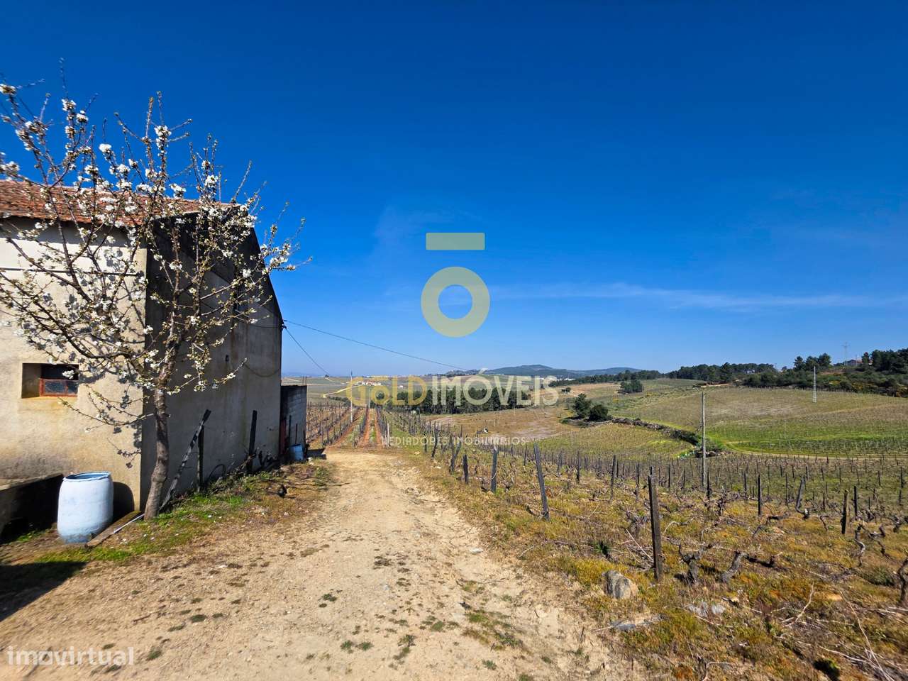 Quinta  Venda em Castedo e Cotas,Alijó - Grande imagem: 4/20