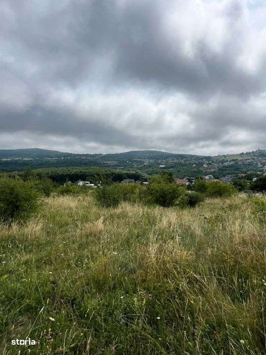 Teren intravilan, 1500 mp, cu view, zona herghelia Salicea - Imagine principală: 2/2