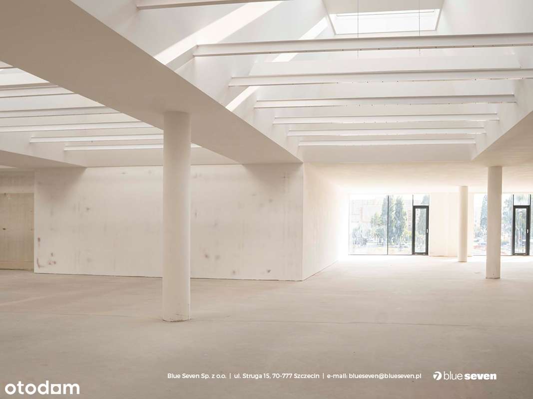 Powierzchnia do wynajęcia na pierwszym piętrze - Pełny obrazek: 5/8